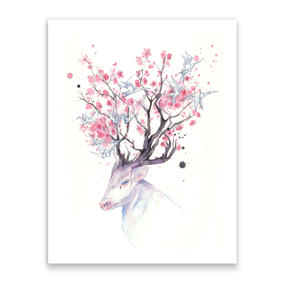 Sakura Dreaming