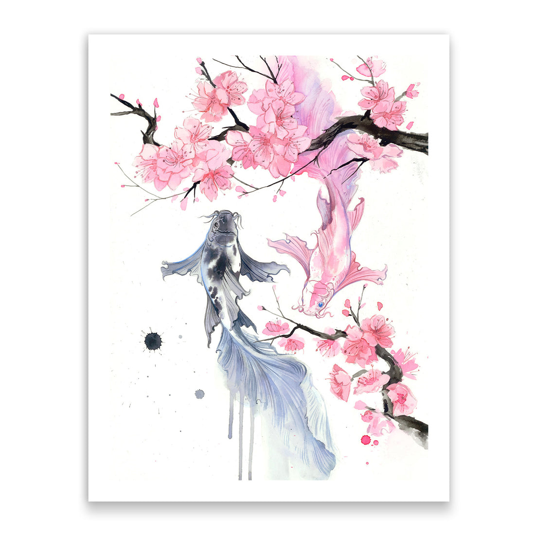 Sakura Koi