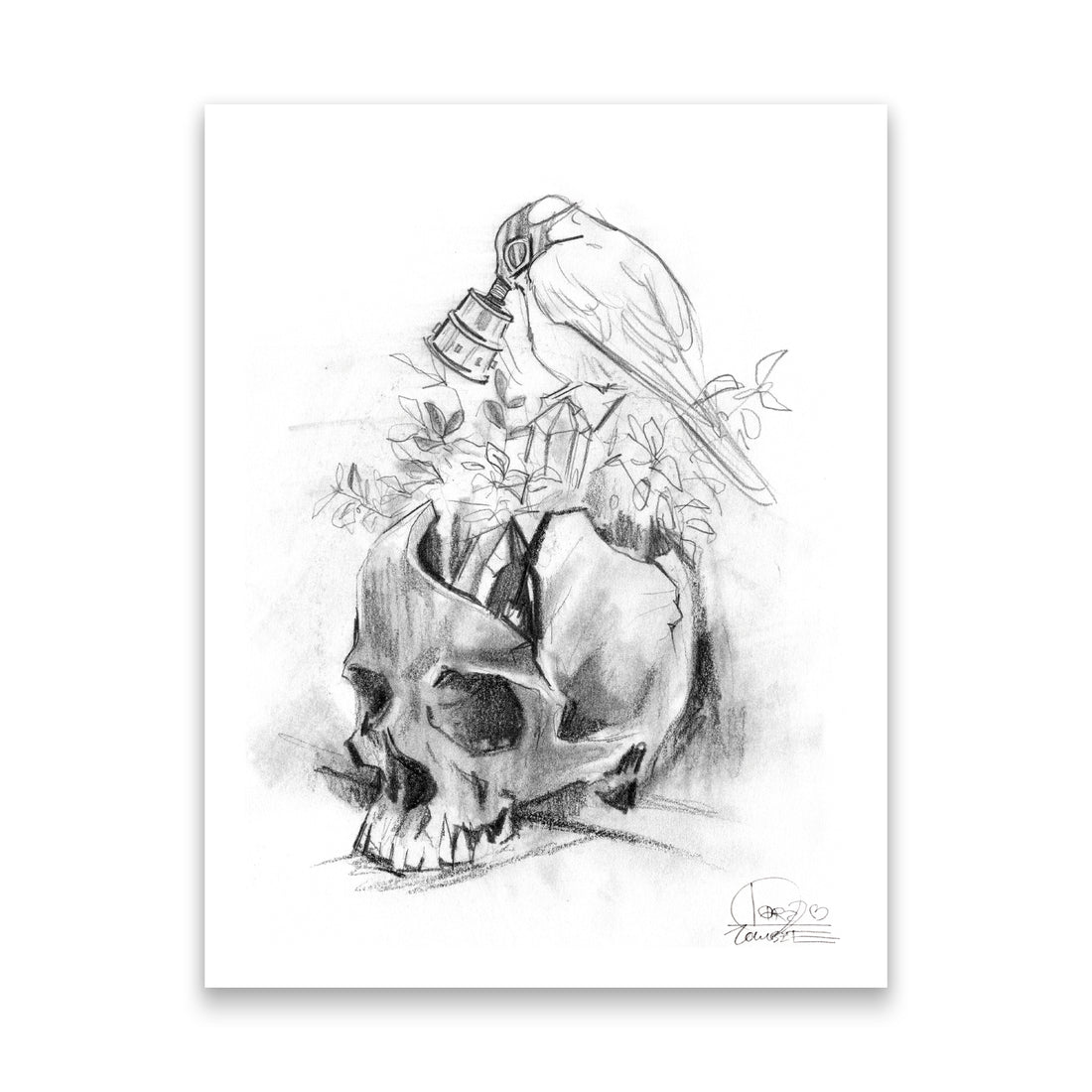 Bird Skull