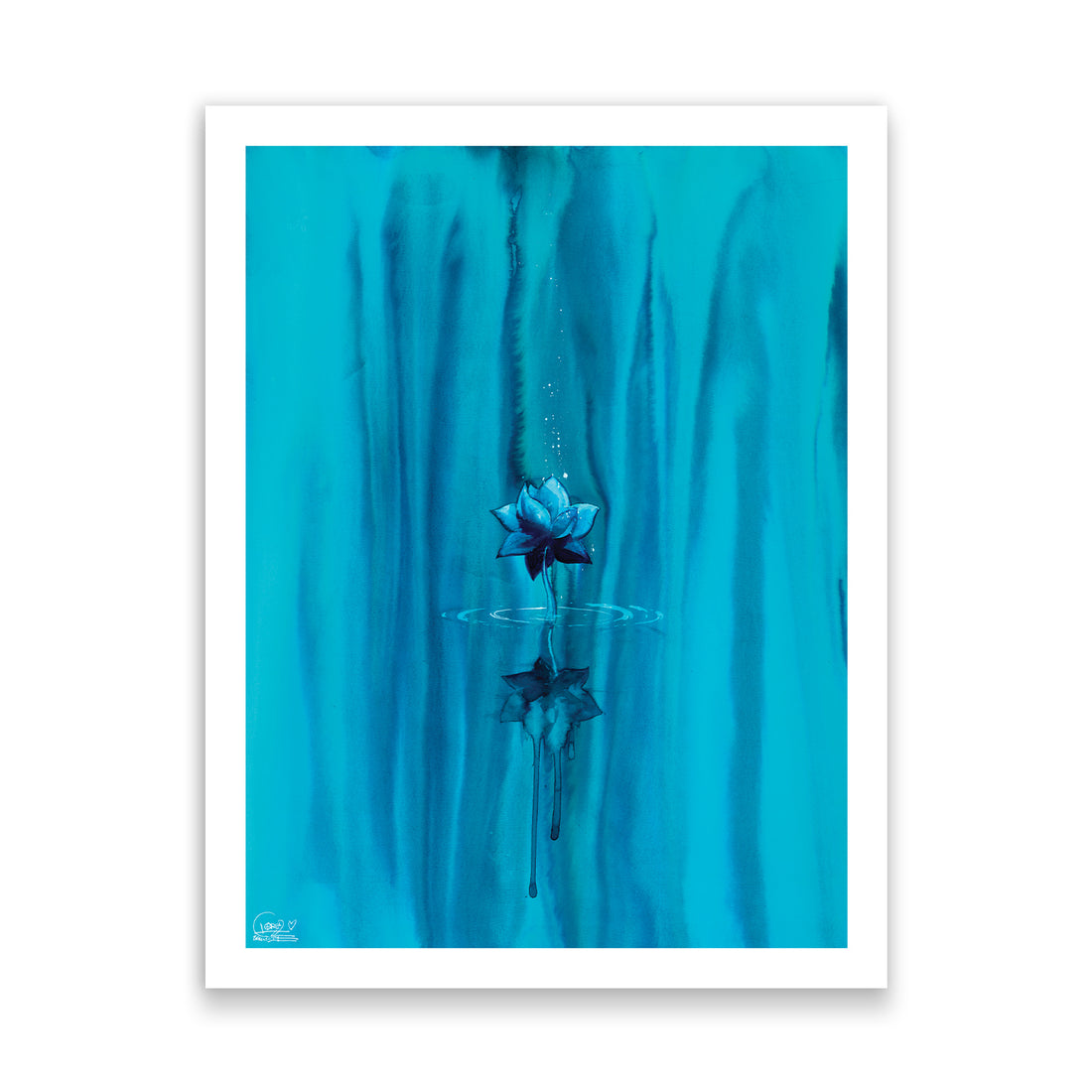 Blue Lotus