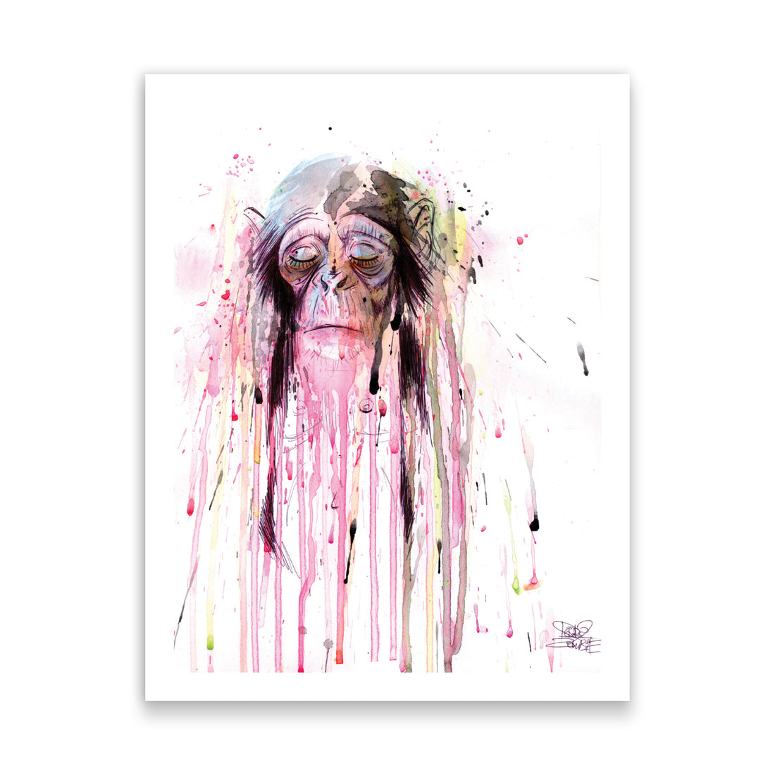 Monkey 8