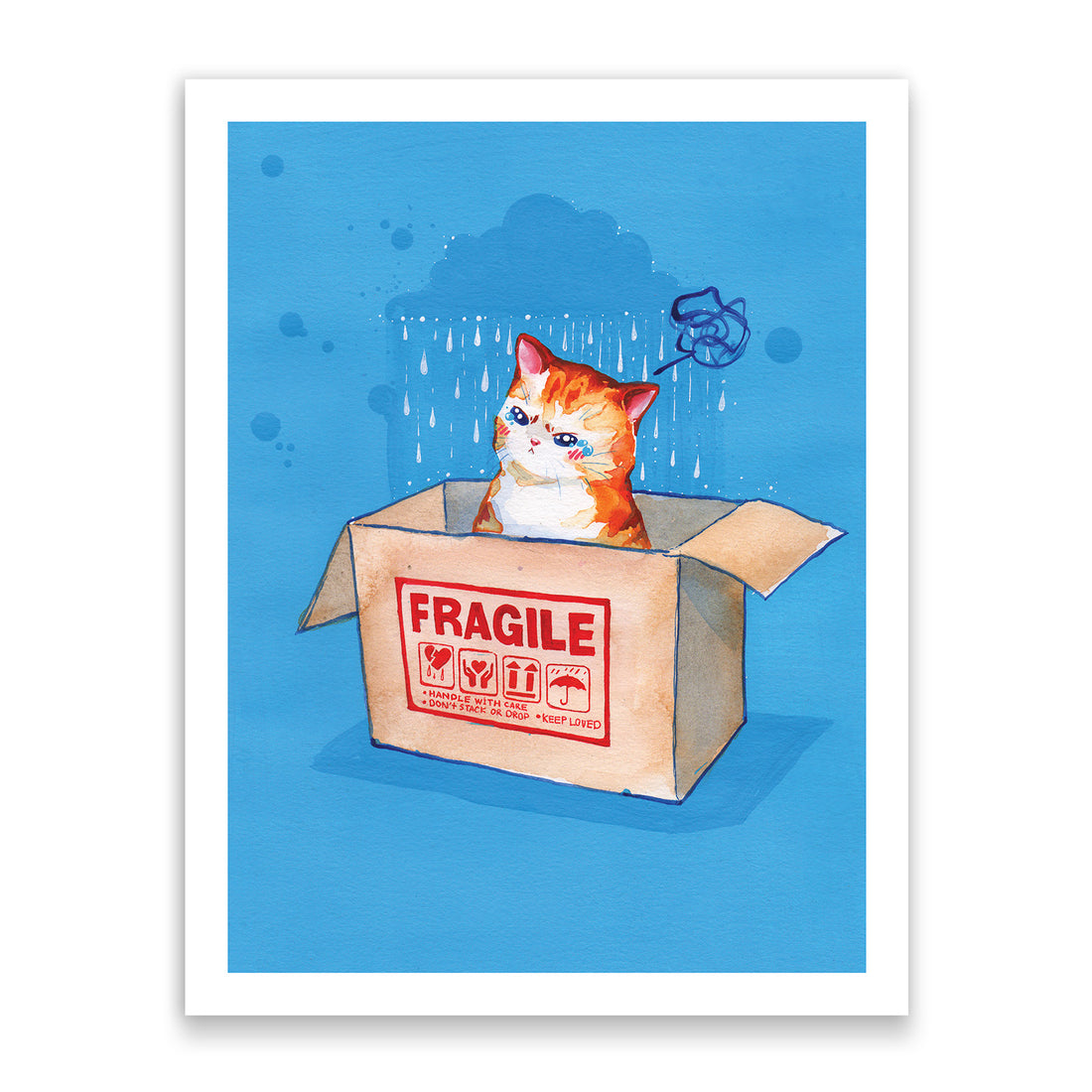 Fragile Kitty