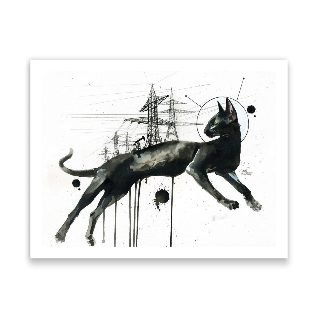 Oil Cat