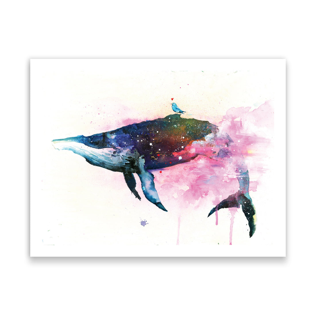 Fish and Bird II