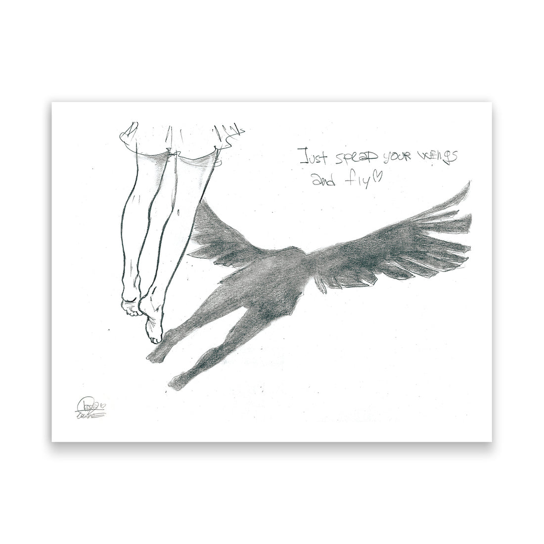 Fly