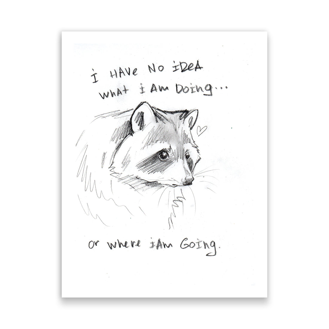 Trash Panda IV