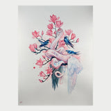 Magnolia