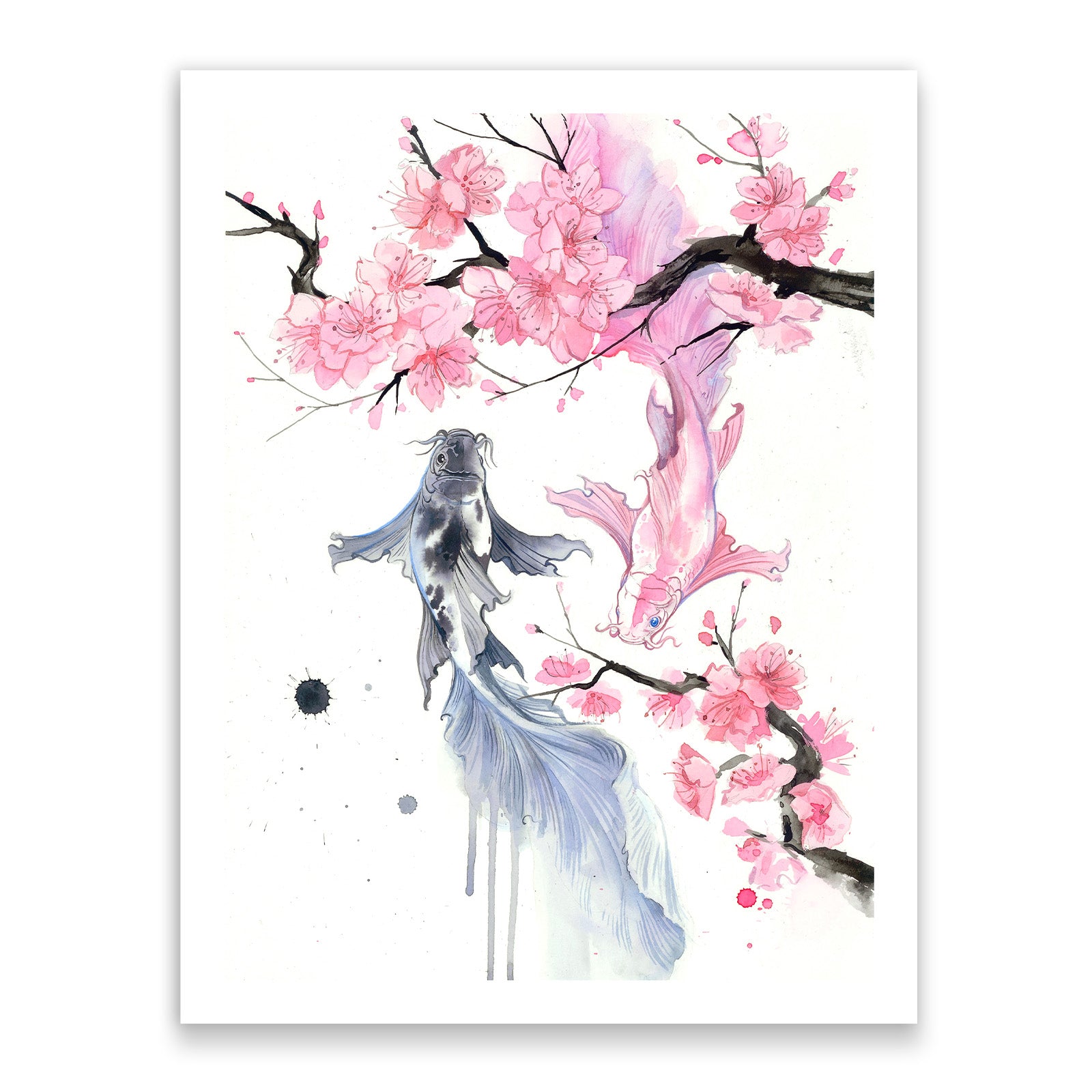 Sakura Koi