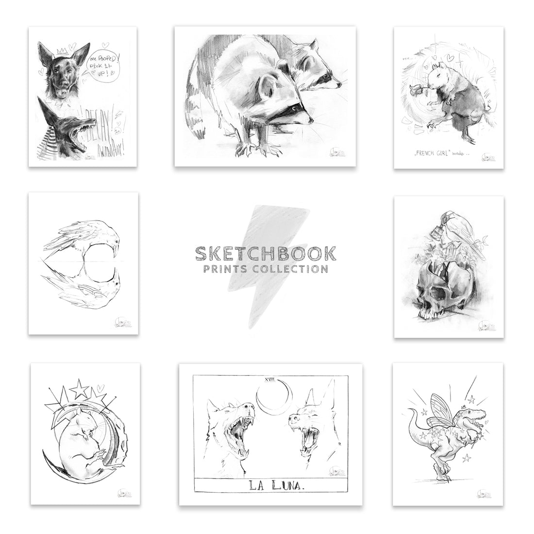 Sketchbook Collection (Boxed Set)