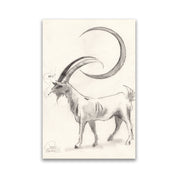 Black Phillip