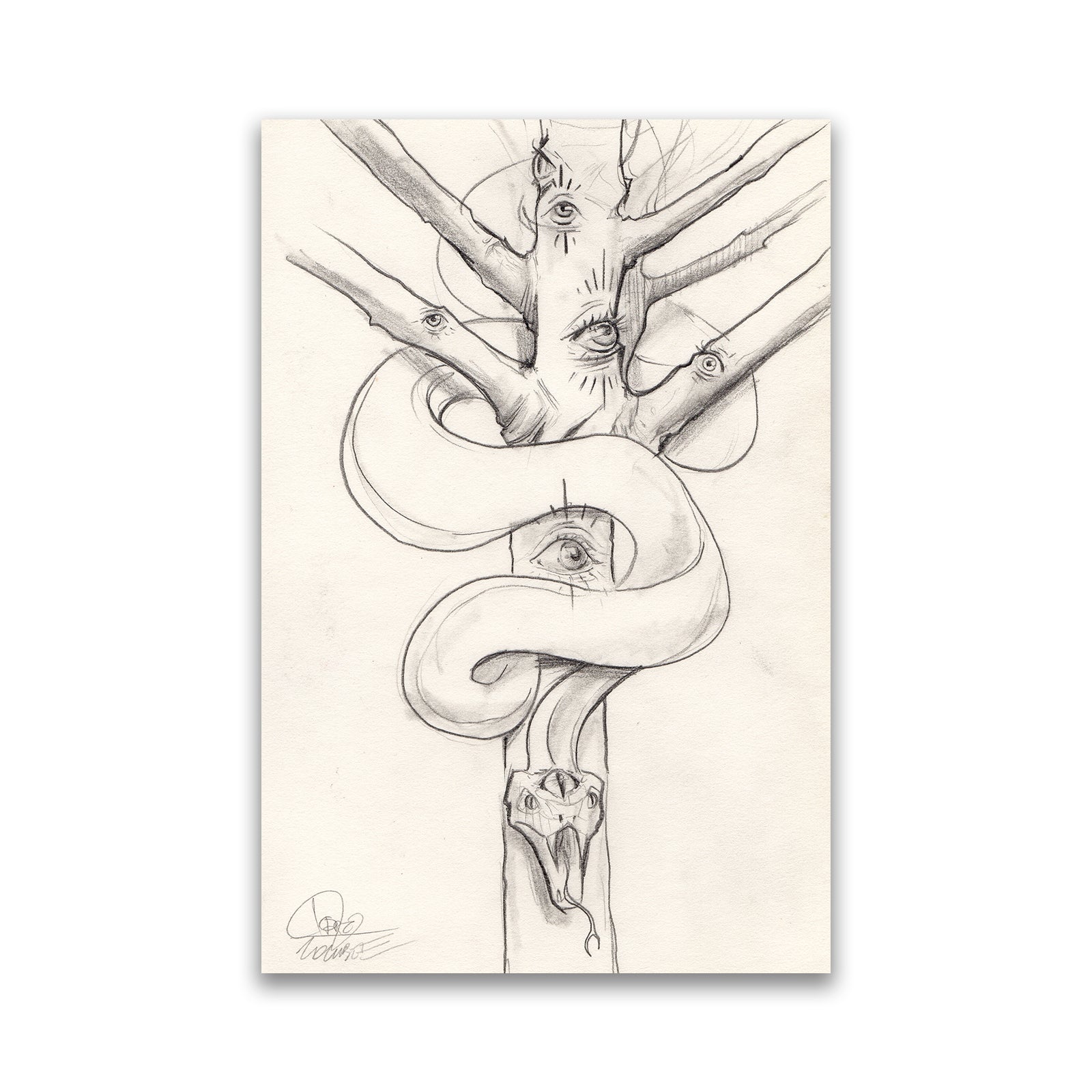 Snake Ina Tree Drawing How To Draw A Snake In A Tree