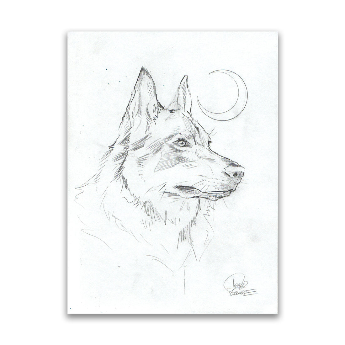 Wolves Sketch I