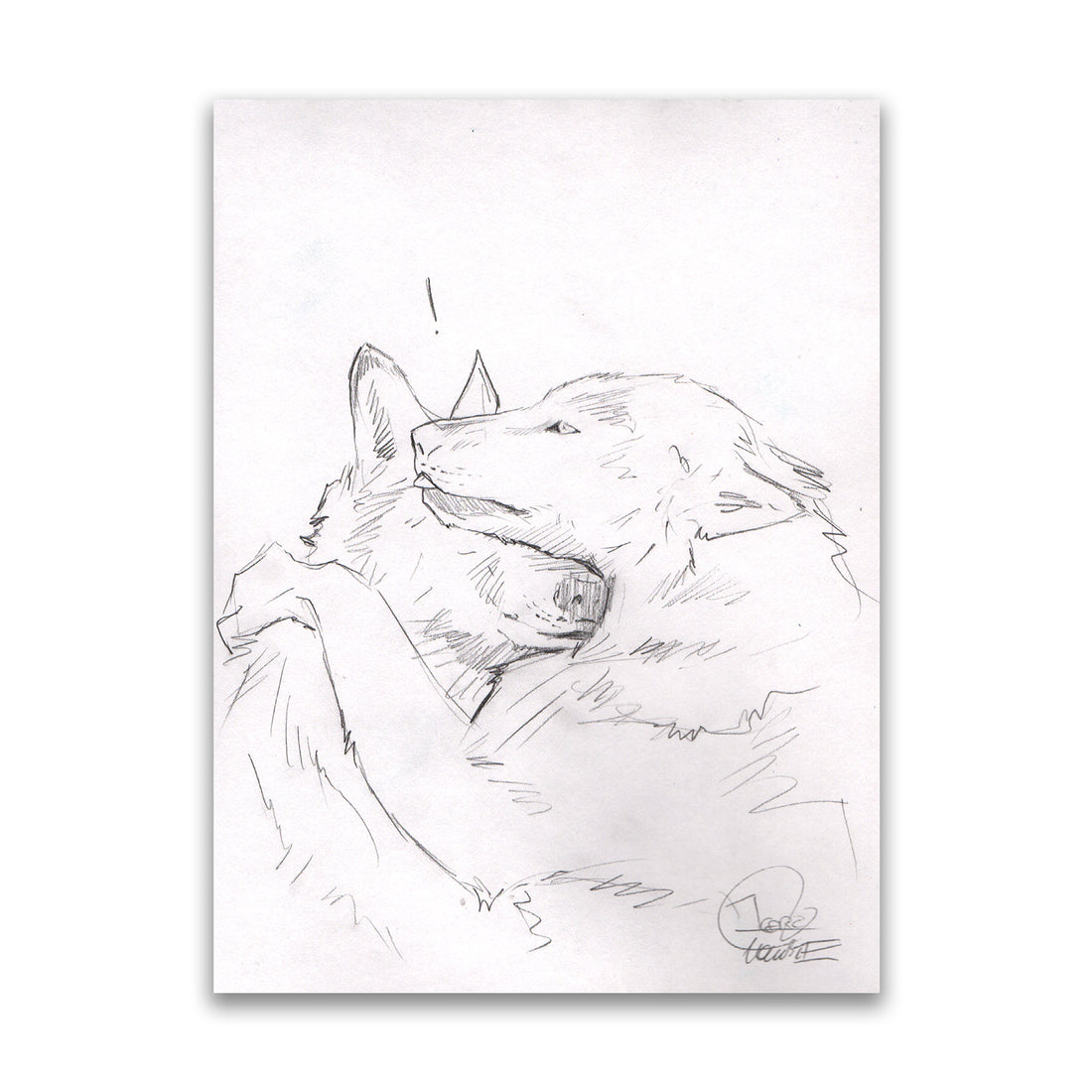 Wolves Sketch III